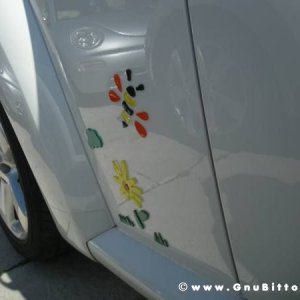 20-03-2011 - Scacco alla Gnu