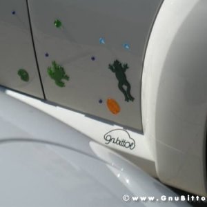 20-03-2011 - Scacco alla Gnu