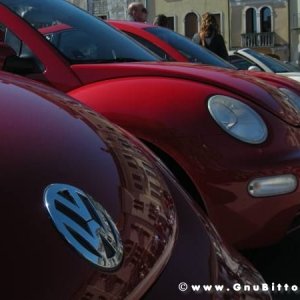 20-03-2011 - Scacco alla Gnu