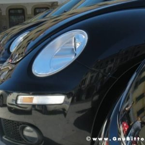 20-03-2011 - Scacco alla Gnu