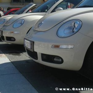 20-03-2011 - Scacco alla Gnu