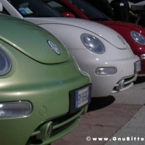 20-03-2011 - Scacco alla Gnu