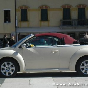 20-03-2011 - Scacco alla Gnu