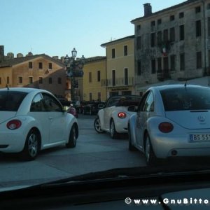 20-03-2011 - Scacco alla Gnu