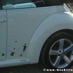 20-03-2011 - Scacco alla Gnu