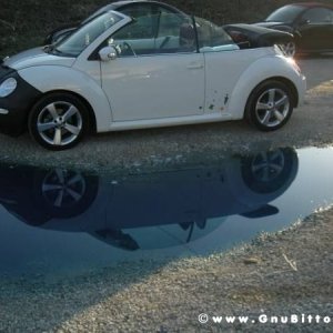 20-03-2011 - Scacco alla Gnu