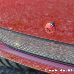 19-06-2011 - GnuScalata 2011