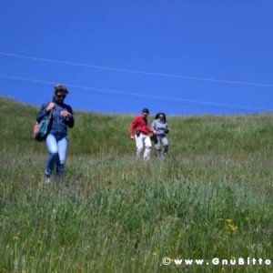 19-06-2011 - GnuScalata 2011