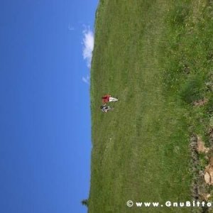 19-06-2011 - GnuScalata 2011