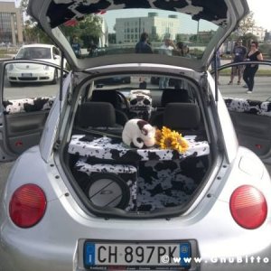 25-09-2011 -  Gnu On The Water 2011