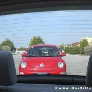 25-09-2011 -  Gnu On The Water 2011