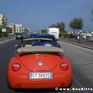 25-09-2011 -  Gnu On The Water 2011