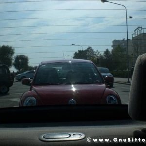 25-09-2011 -  Gnu On The Water 2011