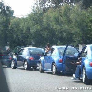 25-09-2011 -  Gnu On The Water 2011