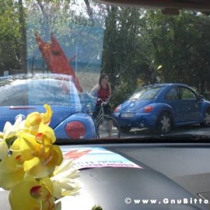 25-09-2011 -  Gnu On The Water 2011