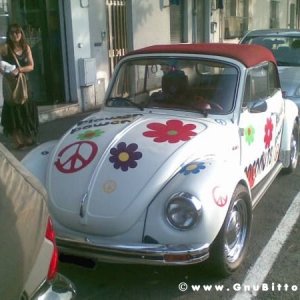 25-09-2011 -  Gnu On The Water 2011