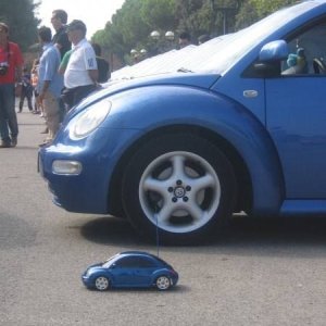 25-09-2011 -  Gnu On The Water 2011