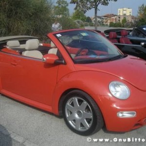 25-09-2011 -  Gnu On The Water 2011