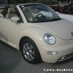 25-09-2011 -  Gnu On The Water 2011