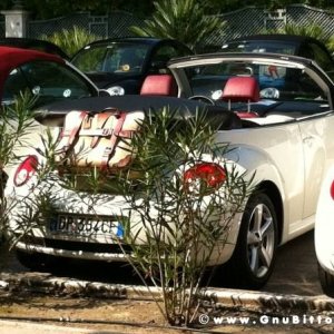 25-09-2011 -  Gnu On The Water 2011