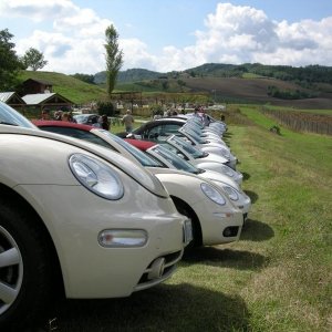 Raduno d'autunno 2012