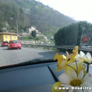 Raduno di Primavera 2012