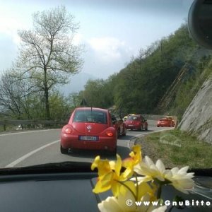 Raduno di Primavera 2012