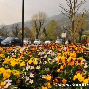 Raduno di Primavera 2012