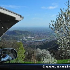 Raduno di Primavera 2012