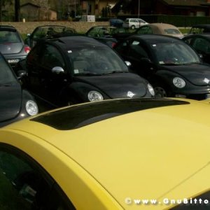 Raduno di Primavera 2012