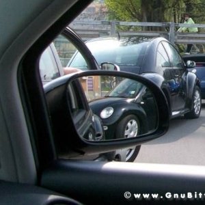 Raduno di Primavera 2012