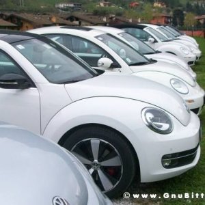 Raduno di Primavera 2012