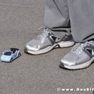 Raduno di Primavera 2012