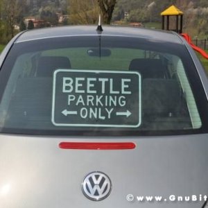 Raduno di Primavera 2012