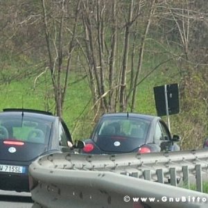 Raduno di Primavera 2012