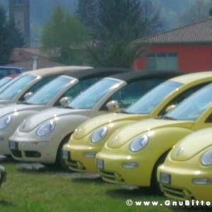 Raduno di Primavera 2012