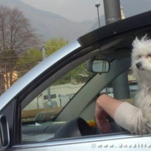 Raduno di Primavera 2012