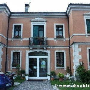 Raduno d'Estate 2012