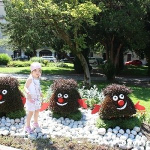 Raduno d'Estate 2012