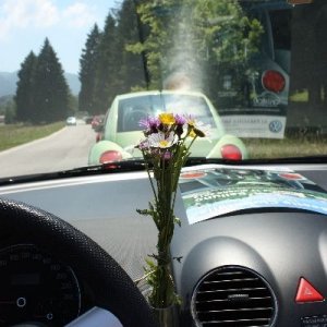 Raduno d'Estate 2012