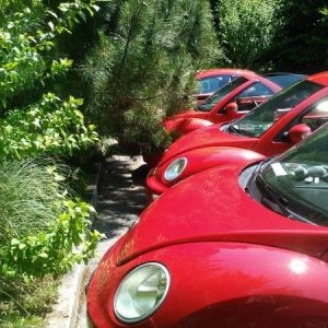 Raduno d'Estate 2012