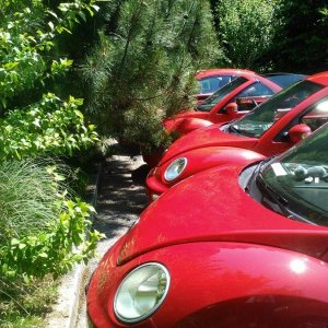 Raduno d'Estate 2012