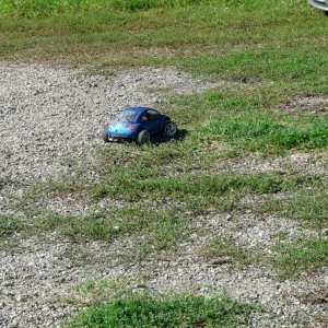 24' raduno gnubittol Appennini di Bologna