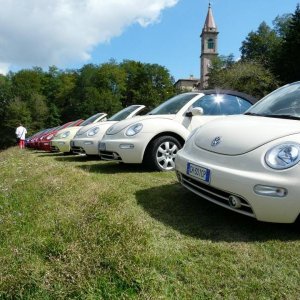 24' raduno gnubittol Appennini di Bologna