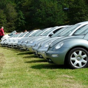 24' raduno gnubittol Appennini di Bologna