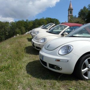 24' raduno gnubittol Appennini di Bologna