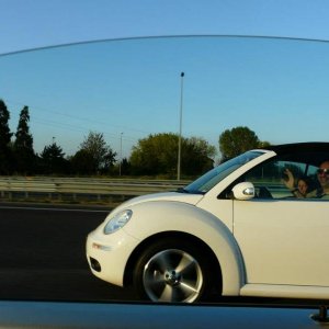 24' raduno gnubittol Appennini di Bologna