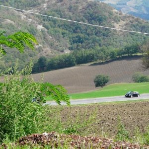 24' raduno gnubittol Appennini di Bologna