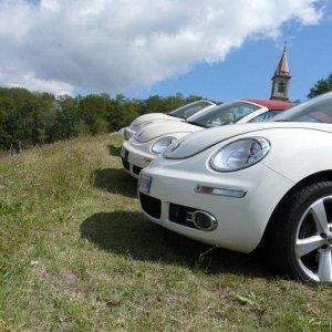 24' raduno gnubittol Appennini di Bologna