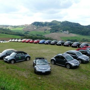 24' raduno gnubittol Appennini di Bologna